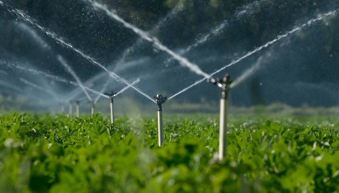 鹏都农牧,农业,农产品