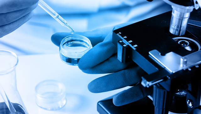 礼来重磅收购生物科技“新贵”，小分子药阿卡迪亚暴涨24%！资金连续增仓纳指生物科技ETF（513290）