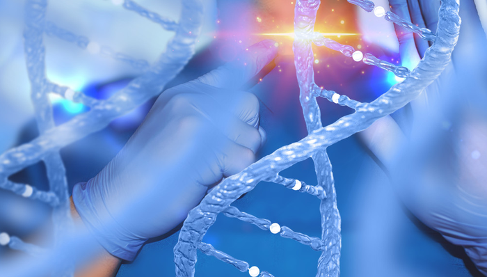 金斯瑞,医疗保健