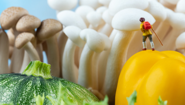 元祖股份,股东减持