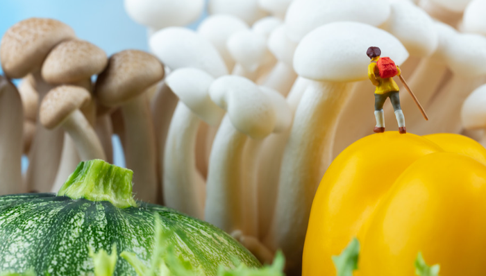 宝立食品,股东减持