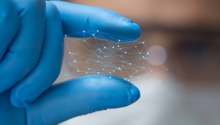 仿制药巨头晖致又有新动作！美股创新药小幅回调，市盈率回调至15倍，纳指生物科技ETF（513290）逆风上扬！