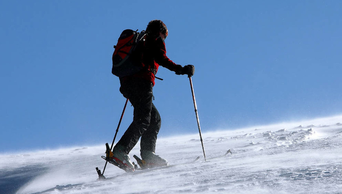 容百科技,高镍正极材料