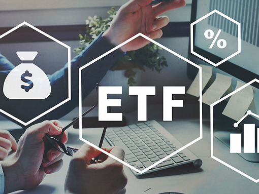 长城汽车领跌5.64%，上证50ETF易方达（510100）IH当月剔除分红后年化升水10.7%