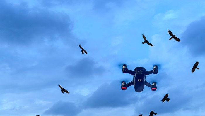 512810,ETF盘中快讯