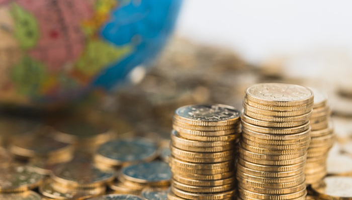 688223,财报速览,晶科能源