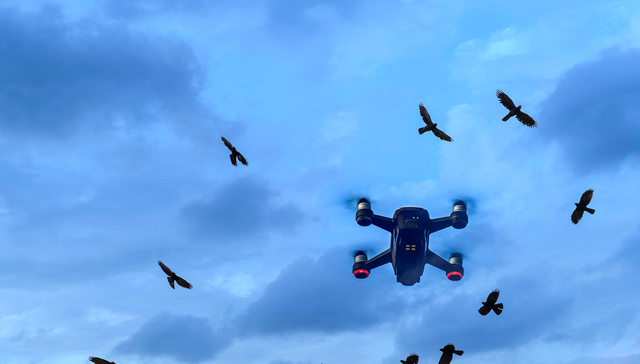 512810,ETF公司日报