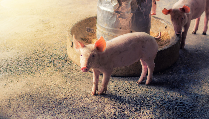 516670,ETF盘中快讯