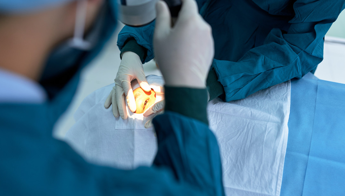 513290,ETF盘中快讯