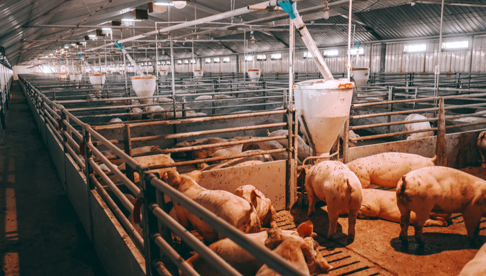 562900,ETF盘中快讯,现代农业ETF