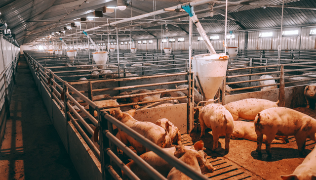 516670,ETF盘中快讯