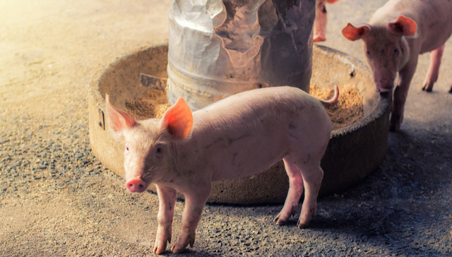 516760,ETF盘中快讯