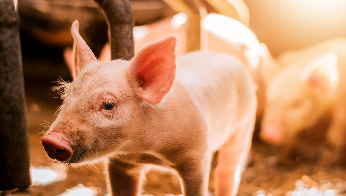 516670,ETF盘中快讯