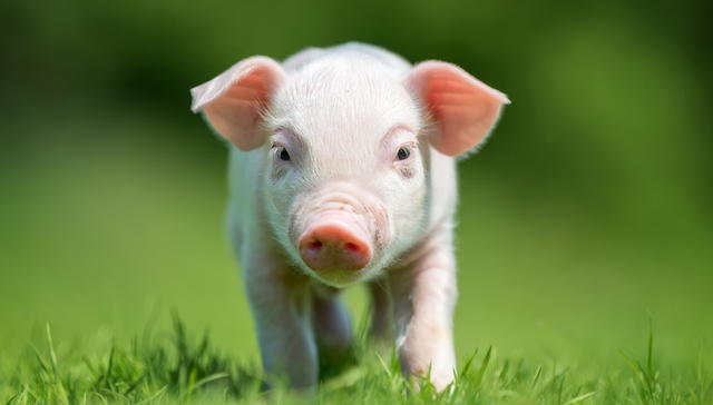 516670,ETF产品日报