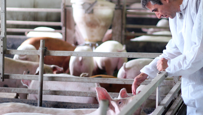 养殖ETF（159865）,畜牧养殖ETF(516670),养殖ETF（516760）