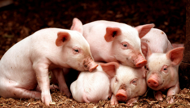 516670,ETF盘前早报