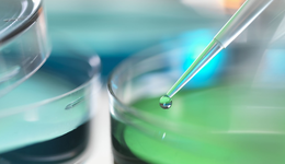 恒生医疗ETF(513060)强势上涨2.14%，中国中药领涨