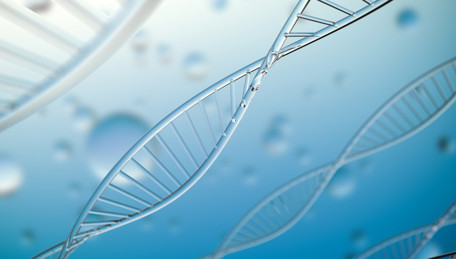汇添富恒生香港上市生物科技ETF,恒生生物,汇添富恒生香港上市生物科技交易型开放式指数证券投资基金(