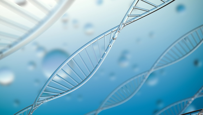 嘉实标普生物科技精选行业ETF(QDII),标普生物科技ETF,嘉实标普生物科技精选行业交易型开放式