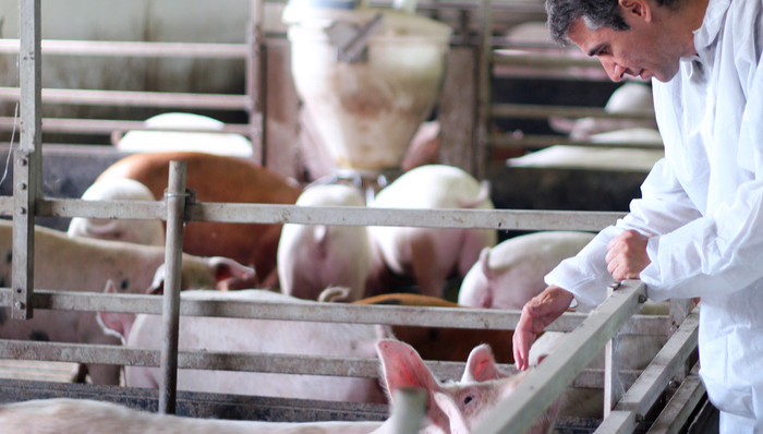 002567,唐人神,唐人神集团股份有限公司,农林牧渔,互动问答