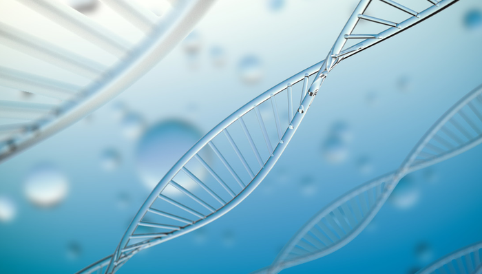 汇添富国证港股通创新药ETF,港股通创新药ETF,汇添富国证港股通创新药交易型开放式指数证券投资基金