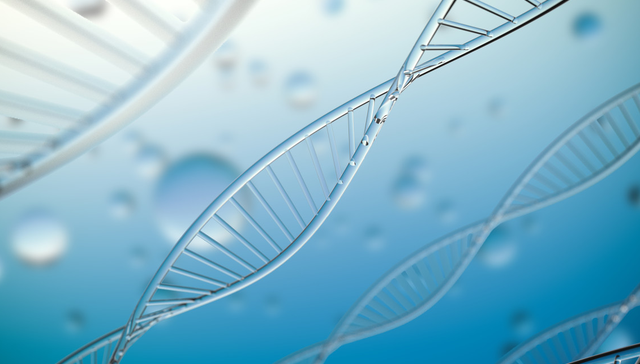嘉实标普生物科技精选行业ETF(QDII),标普生物科技ETF,嘉实标普生物科技精选行业交易型开放式