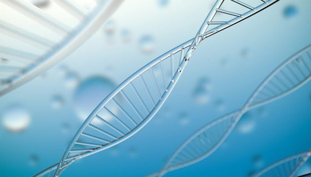 港股创新药ETF,银华国证港股通创新药交易型开放式指数证券投资基金,159567,159567.SZ
