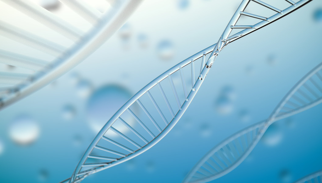 汇添富恒生香港上市生物科技ETF,恒生生物,汇添富恒生香港上市生物科技交易型开放式指数证券投资基金(