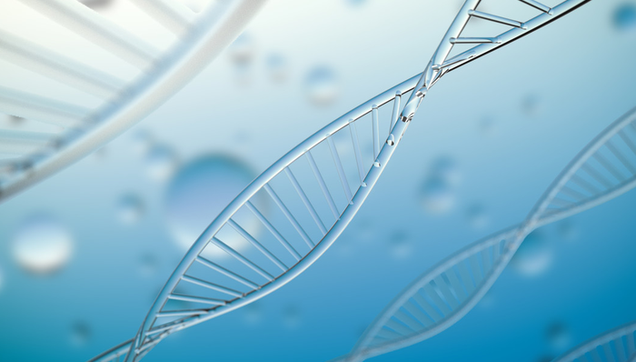 平安中证医疗创新ETF,医疗创新,平安中证医药及医疗器械创新交易型开放式指数证券投资基金,51682