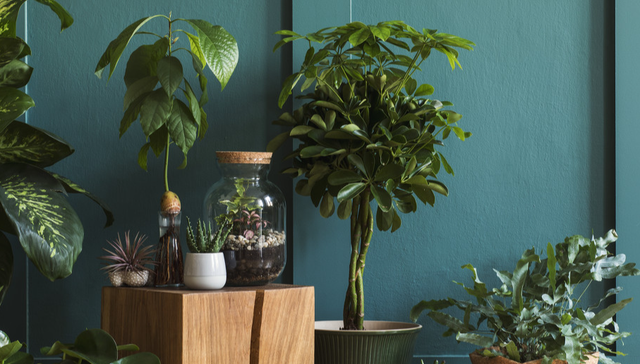 603063,禾望电气,深圳市禾望电气股份有限公司,Hopewind,电力设备