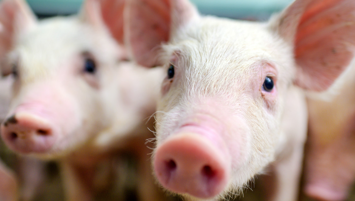 农业50,农业50ETF,银华中证农业主题交易型开放式指数证券投资基金,159827,159827.