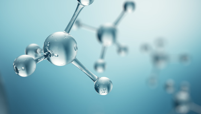 汇添富恒生香港上市生物科技ETF,恒生生物,汇添富恒生香港上市生物科技交易型开放式指数证券投资基金(