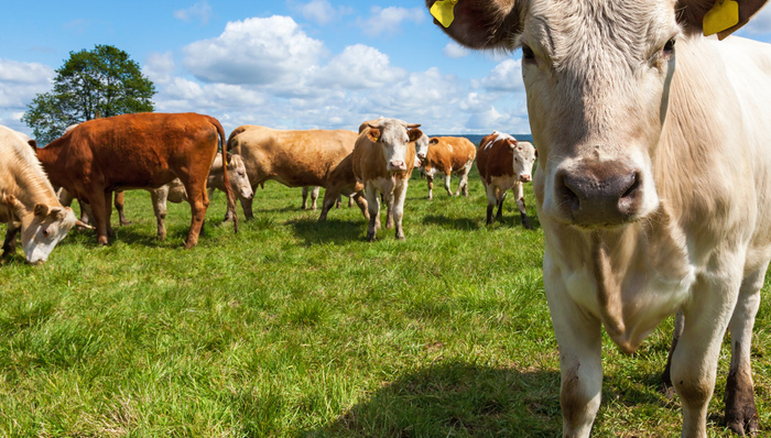 粤海饲料(001313.SZ)：2024年前一季度净亏损5616万元，亏损同比增加15.70%