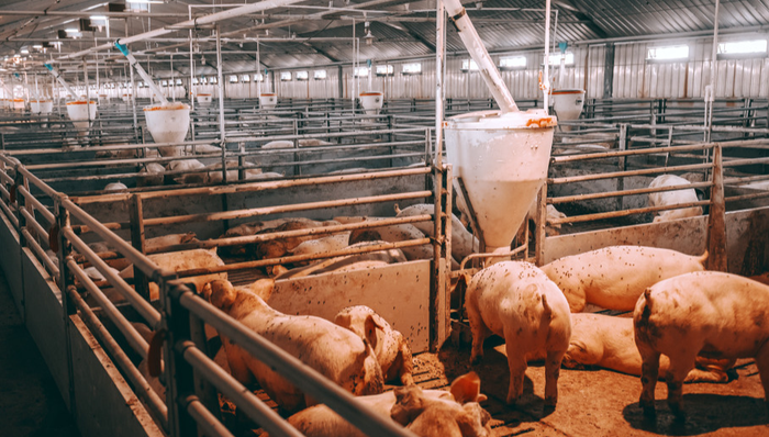 002661.SZ,克明食品,陈克明食品股份有限公司,KE,MING,FOOD,食品饮料