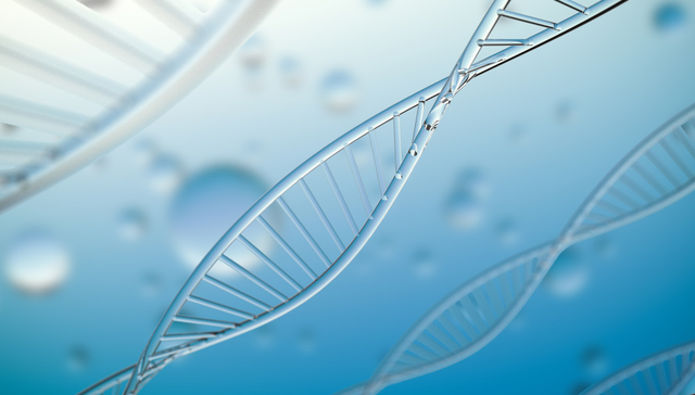 平安中证港股医药ETF,港股医药ETF,平安中证港股通医药卫生综合交易型开放式指数证券投资基金,15