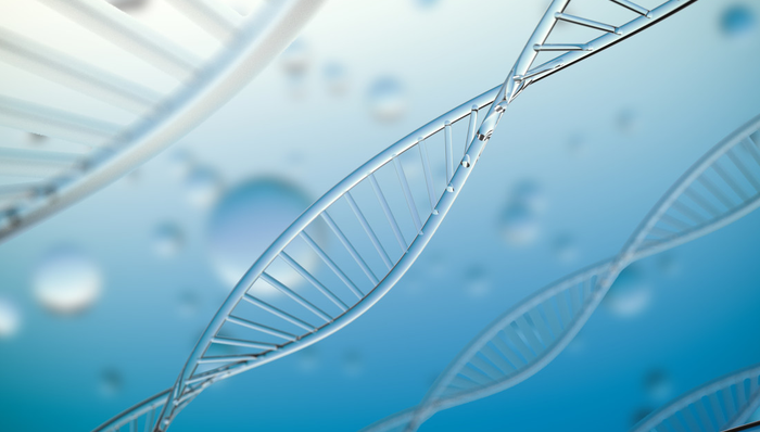 博时恒生医疗保健(QDII-ETF),恒生医疗,博时恒生医疗保健交易型开放式指数证券投资基金(QDI