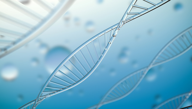 嘉实标普生物科技精选行业ETF(QDII),标普生物科技ETF,嘉实标普生物科技精选行业交易型开放式