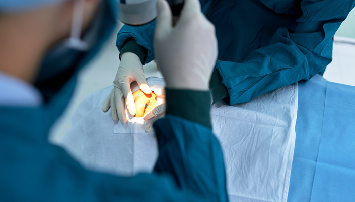 博时恒生医疗保健(QDII-ETF),恒生医疗,博时恒生医疗保健交易型开放式指数证券投资基金(QDI