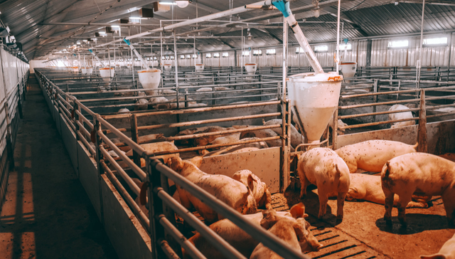 华夏中证农业主题ETF,农业,华夏中证农业主题交易型开放式指数证券投资基金,516810,51681