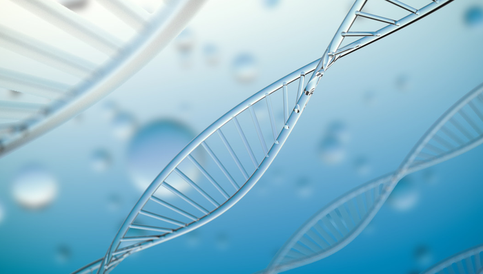 华夏中证生物科技主题ETF,生物ETF,华夏中证生物科技主题交易型开放式指数证券投资基金,51650
