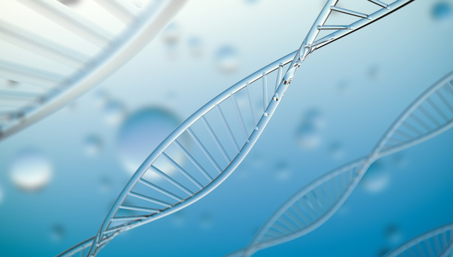 港股创新药ETF,银华国证港股通创新药交易型开放式指数证券投资基金,159567,159567.SZ