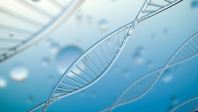港股创新药ETF,银华国证港股通创新药交易型开放式指数证券投资基金,159567,159567.SZ