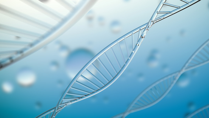 博时恒生医疗保健(QDII-ETF),恒生医疗,博时恒生医疗保健交易型开放式指数证券投资基金(QDI