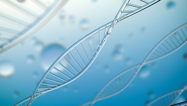 嘉实上证科创板生物医药ETF,科创生物,嘉实上证科创板生物医药交易型开放式指数证券投资基金,5887