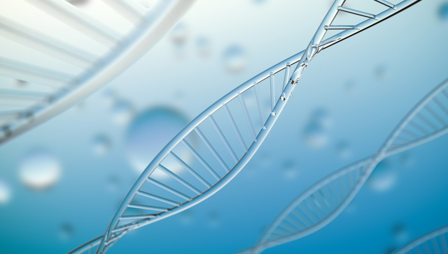港股创新药ETF,银华国证港股通创新药交易型开放式指数证券投资基金,159567,159567.SZ