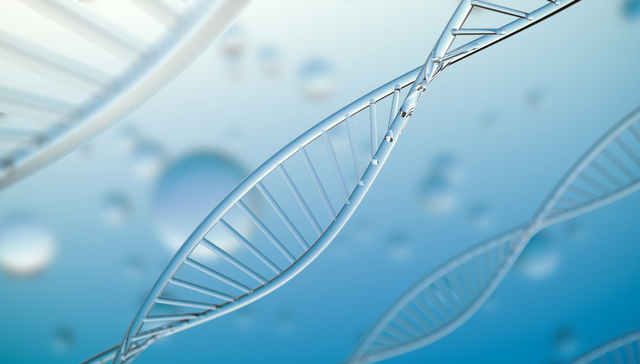 嘉实上证科创板生物医药ETF,科创生物,嘉实上证科创板生物医药交易型开放式指数证券投资基金,5887