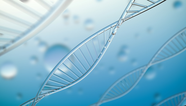 华夏中证生物科技主题ETF,生物ETF,华夏中证生物科技主题交易型开放式指数证券投资基金,51650