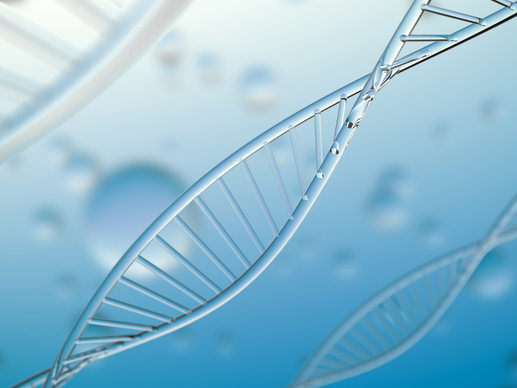 大麦植发《新型微针植发标准制定白皮书》发布：用科技重塑植发体验