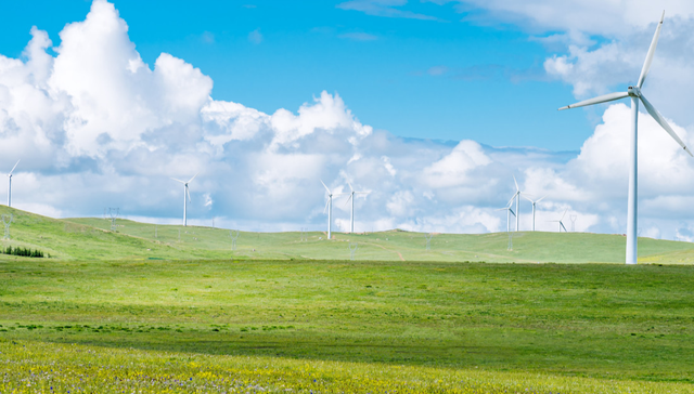 粮食ETF,鹏华国证粮食产业交易型开放式指数证券投资基金,159698,159698.SZ,国证粮食