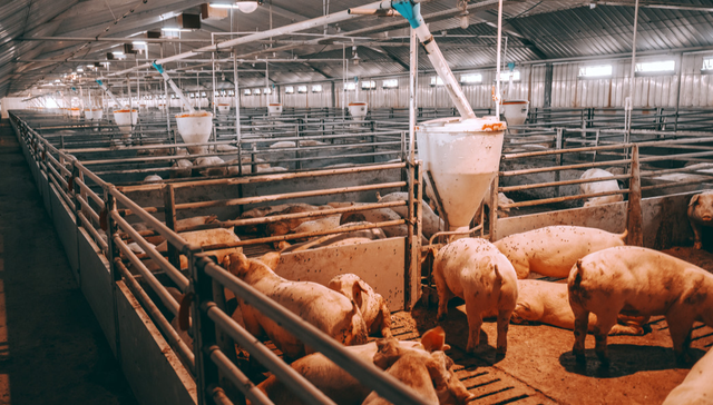 华夏中证农业主题ETF,农业,华夏中证农业主题交易型开放式指数证券投资基金,516810,51681